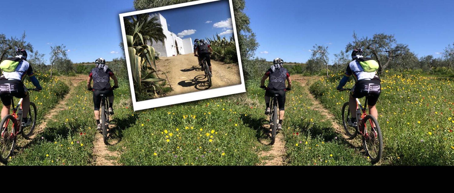 mountainbike-tour-sevilla.jpg