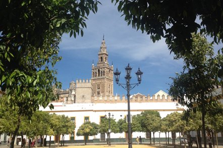 roeivakantie-sevilla-giralda.jpg