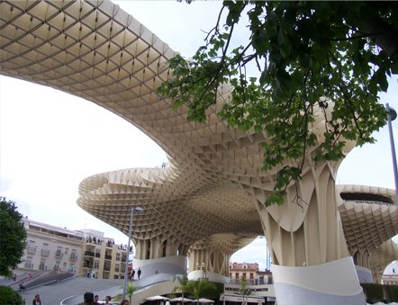 setas-sevilla-parasol