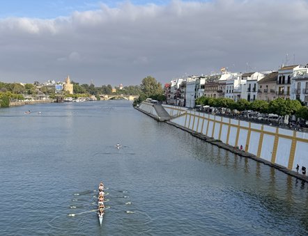 triana-calle-betis-rowing