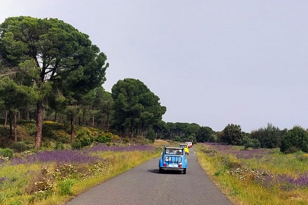 vintage-car-tour-sevilla